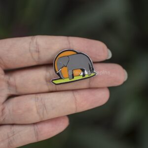 Pin Zimbabue