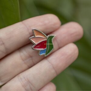 Pin Colibri